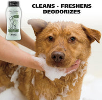 Wahl USA Whitening Dog Shampoo for Pets, Brightens Coat - Eucalyptus spearmint / 24 Fl Oz (Pack of 1) - image 2