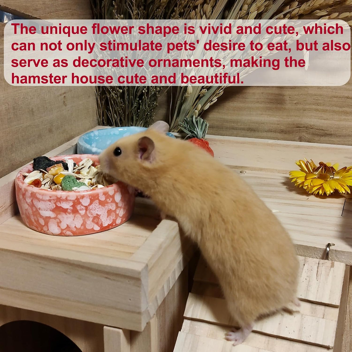 2 Pcs Hamster Food Bowl Guinea Pig Ceramic Water Bowl Small Animal - Multi-Color / 4Pcs:S - image 3