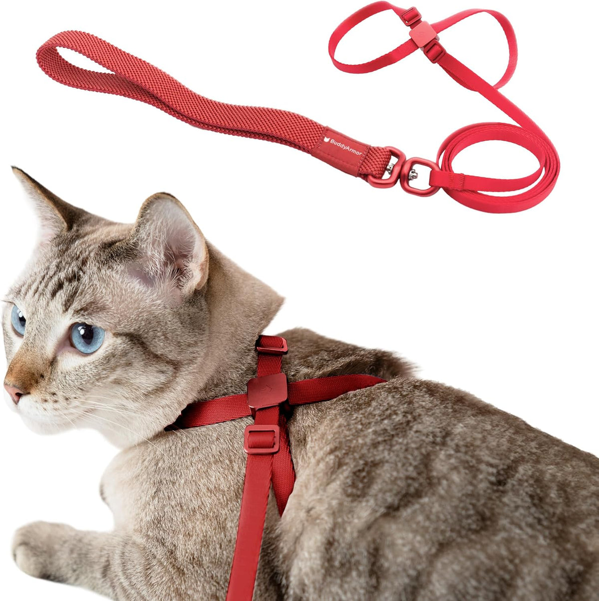 Cat Harness and Leash 2-in-1 - Vivid Red