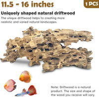 PINVNBY Natural Driftwood for Aquarium Decor Fish Tank Decorations - XL:Honeycomb wood (11.5 - 16 inches/1 Pack) - image 2