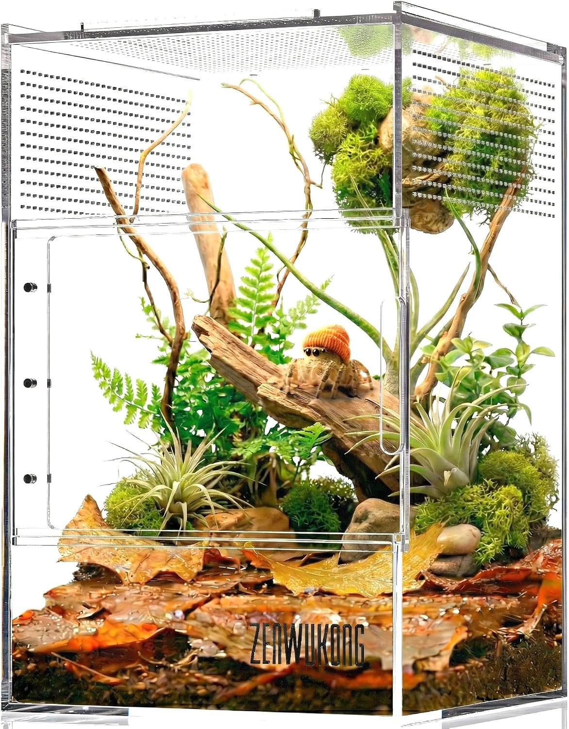 Jumping Spider Enclosure, Acrylic Terrarium Habitat for Spiders - 6x6x9inch