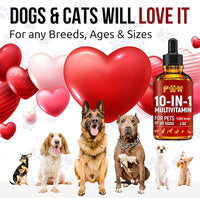 Liquid Multivitamin for Dogs – Daily Glucosamine, Vitamin B, C & D3 Support – Cat Vitamins for Indoor Cats to Care for Joints & HIPS, Skin & Coat, and Gut – Help with Allergies & UTIs – 2 Oz