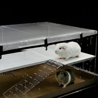 GuineaLoft Model-A Acrylic Guinea Pig Cage - Model-A3 - image 3