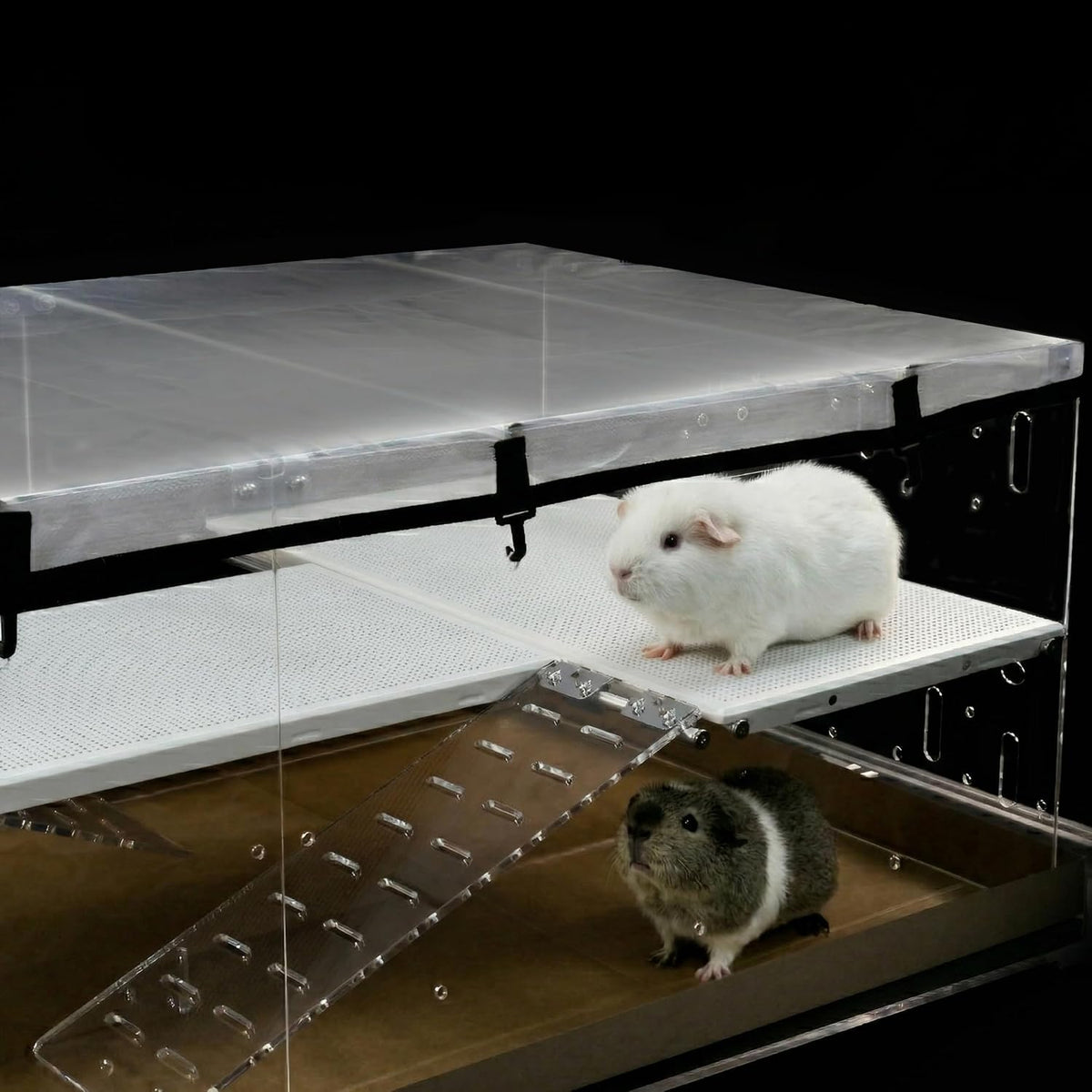 GuineaLoft Model-A Acrylic Guinea Pig Cage - Model-A3 - image 3
