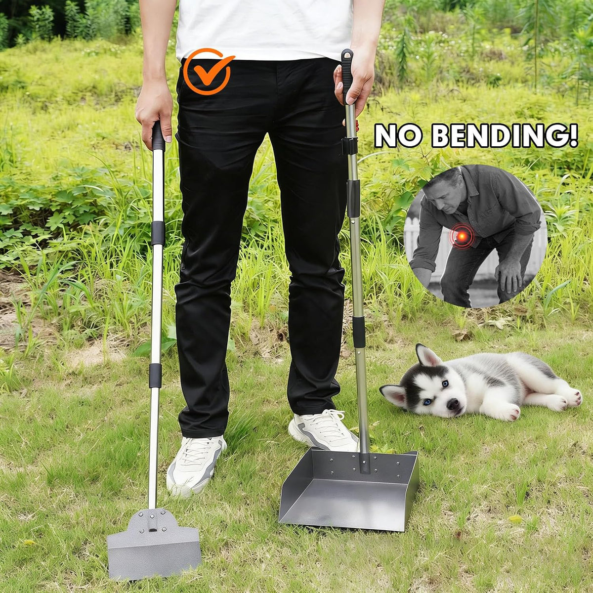 Dog Pooper Scooper, Metal Tray & Spade Set, Tray & Spade - Medium - image 4