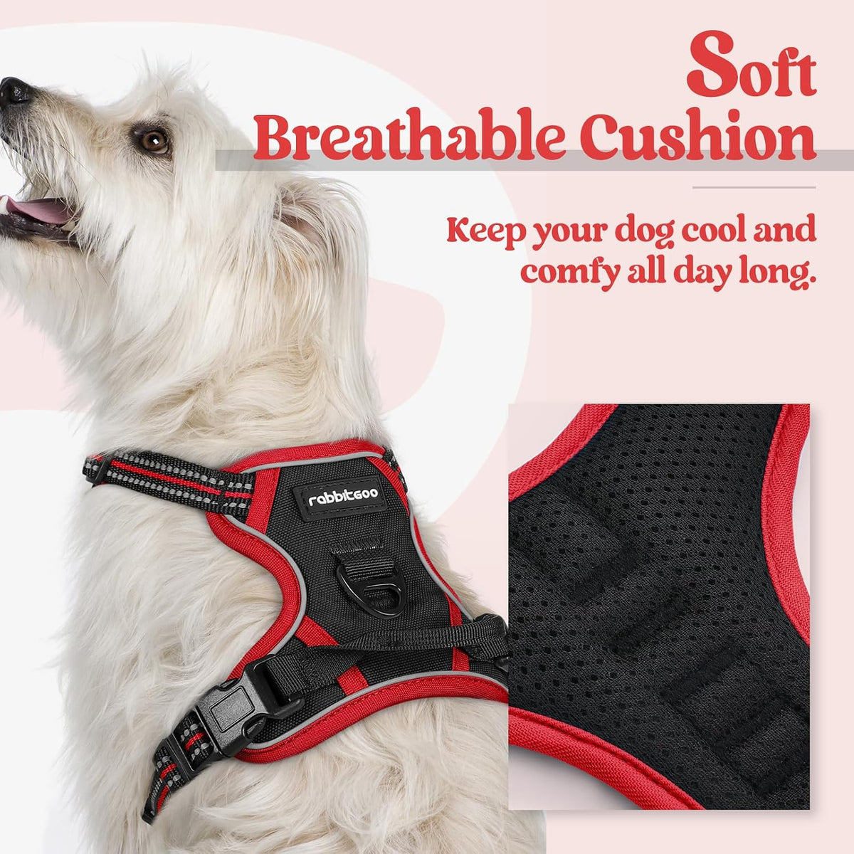 rabbitgoo Dog Harness, No Pull for Large Dogs with 2 Leash Clips - X-Small / Black & Red - image 2