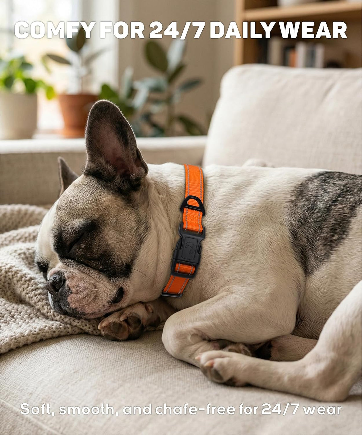 Small Dog Collar, Reflective Puppy Collar, 3/8" Width - Khaki / M: 1.0"x(14-20") - image 3
