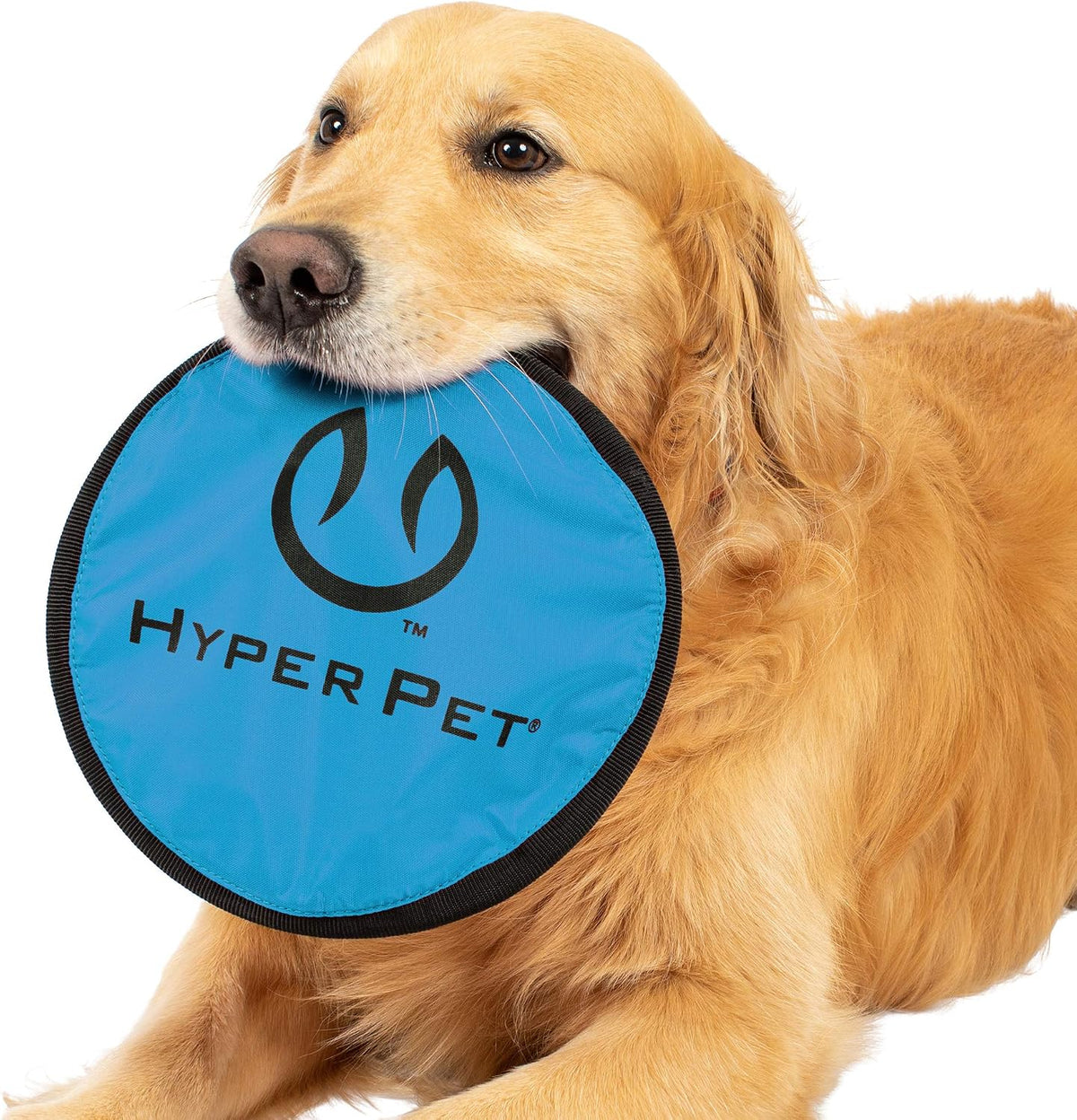 Hyper Pet Flippy Flopper Flying Disc Soft Dog Toy 9 Inch, Floats - Assorted / 9" Pack of 5 - image 4