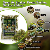 Sukh Sphagnum Moss for Reptiles, Green Terrarium Moss Substrate - 5.5 Ounces / Green - image 4