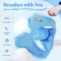 rabbitgoo Dog Harness Small Sized and Leash Set - Blue / M (chest: 16 - 18.5") - image 3