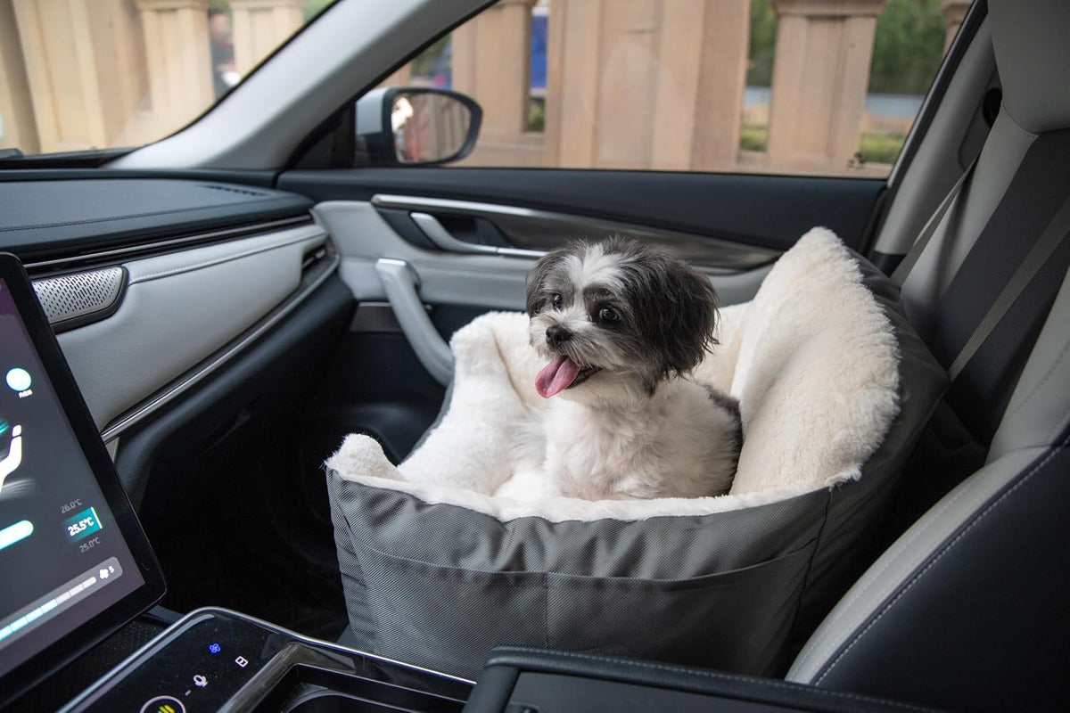 Best Pet Supplies Elevated Dog Car Seat for Small Dogs - Booster (Gray) / 21" x 20" x 14"