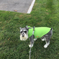 Gooby Zip-Up Fleece Dog Sweater - Large chest (~20") / Lime - image 3