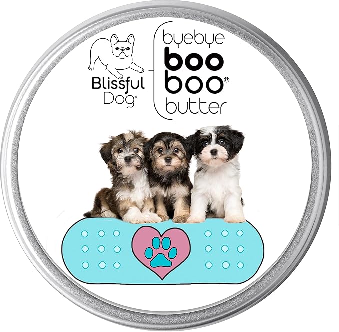 The Blissful Dog Havanese Boo Boo Butter, 2-Ounce