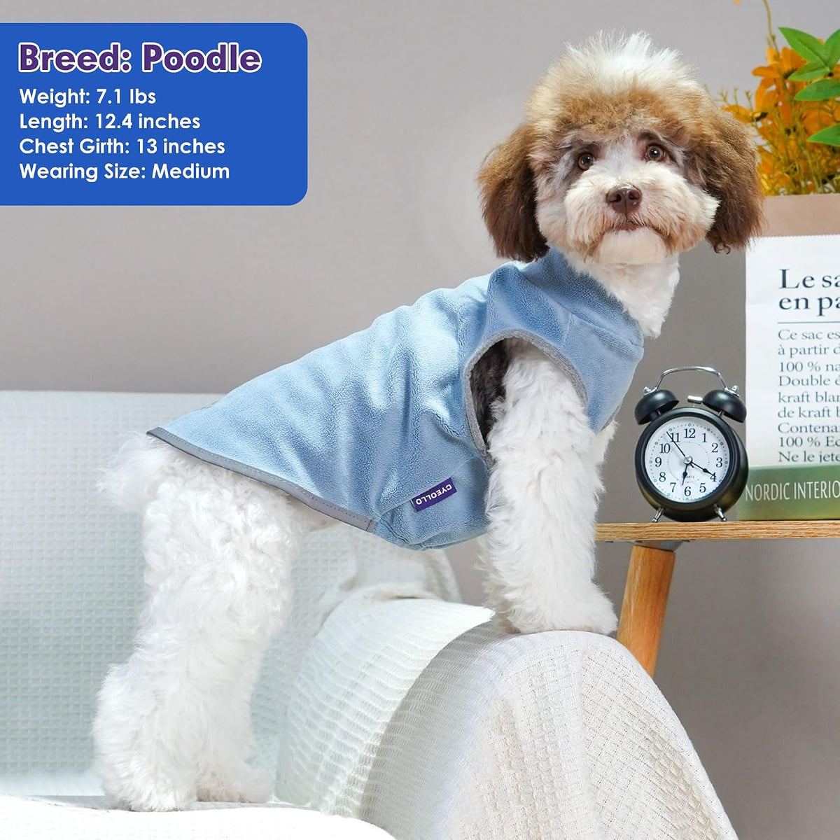 2 Pack Fleece Dog Sweater Pullover Lightweight Reflective Jacket – Essentials for Dogs - Blue & Mist Blue / XXX-Large - image 3