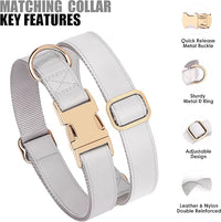 PET ARTIST Soft PU Leather Dog Collar for Medium Dogs, Bright & Classic Nylon Padded Durable Dog Collar Leather with Quick Release Metal Buckle Adjustable for Male Dogs, Neck Fit 13-19"