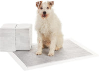 Amazon Basics Carbon Odor Control Dog and Puppy Pee Pads - X-Large (28"x34") / 50.0