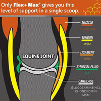 Absorbine Flex+Max Horse Joint Supplement Pellets, Highly Palatable, Comprehensive Equine Formula with Glucosamine, MSM, Chondroitin & Flaxseed, 5lb Bag / 30 Day Supply