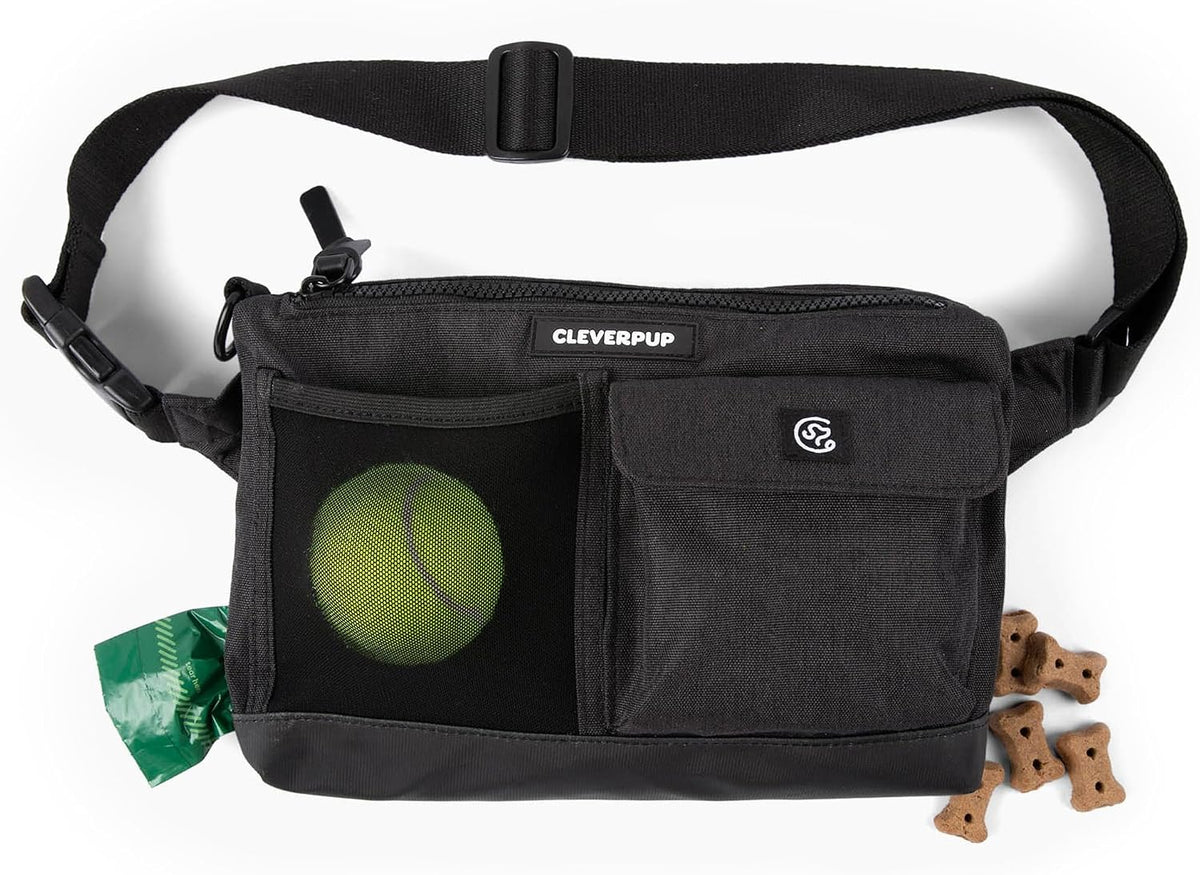 Cleverpup Walk & Train 2-in-1 Dog Walking Bag, Hands-Free - Graphite