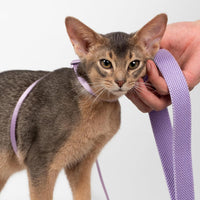 Cat Harness and Leash 2-in-1 - Linen - image 2