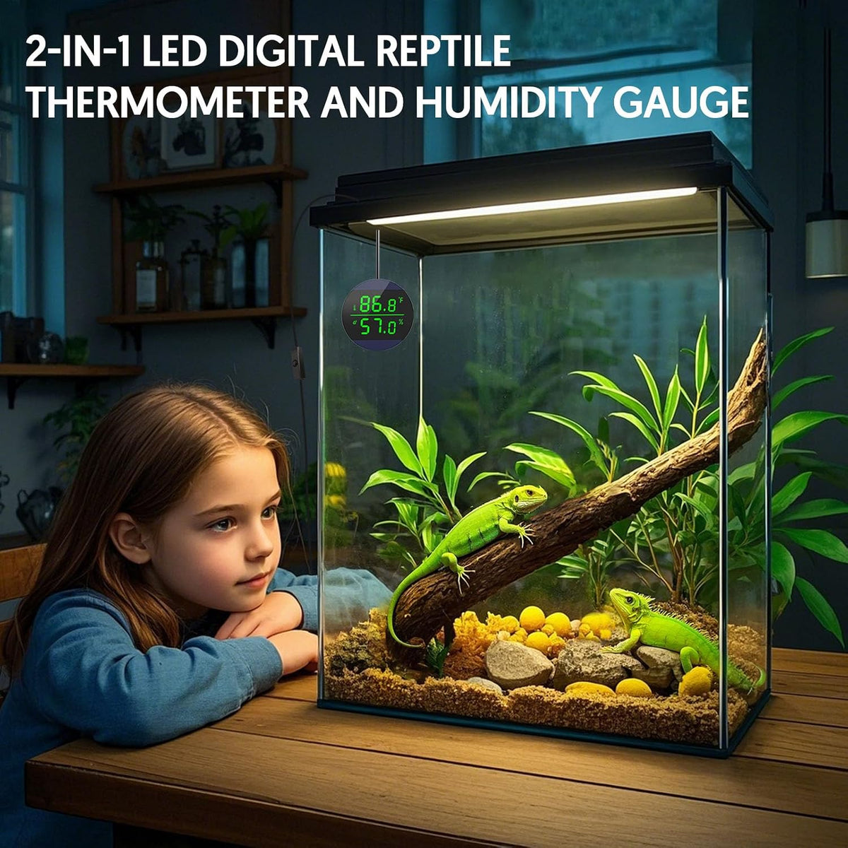 Reptile Thermometer and Humidity Gauge, Digital Display - Blue - image 2