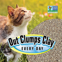 SmartCat All Natural Clumping Cat Litter - 10-Pound - image 3