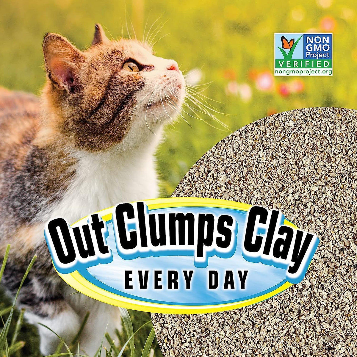 SmartCat All Natural Clumping Cat Litter - 10-Pound - image 3