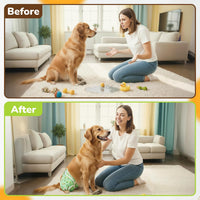 Reusable Washable Dog Diapers - Solid / X-Small (10"-12" Waist) - image 3