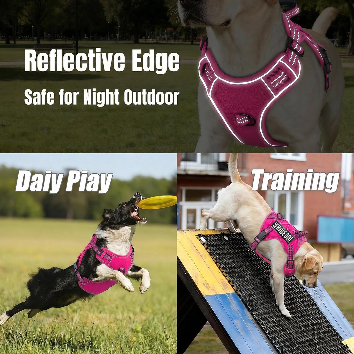 Dog Harness and Leash Set for Large Dogs - Rose Red / M - image 3