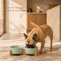 SPUNKYJUNKY Ceramic Dog and Cat Bowl with Wood Stand Non-Slip Matte - 3.6 cups / Morandi Green × 2 - image 2