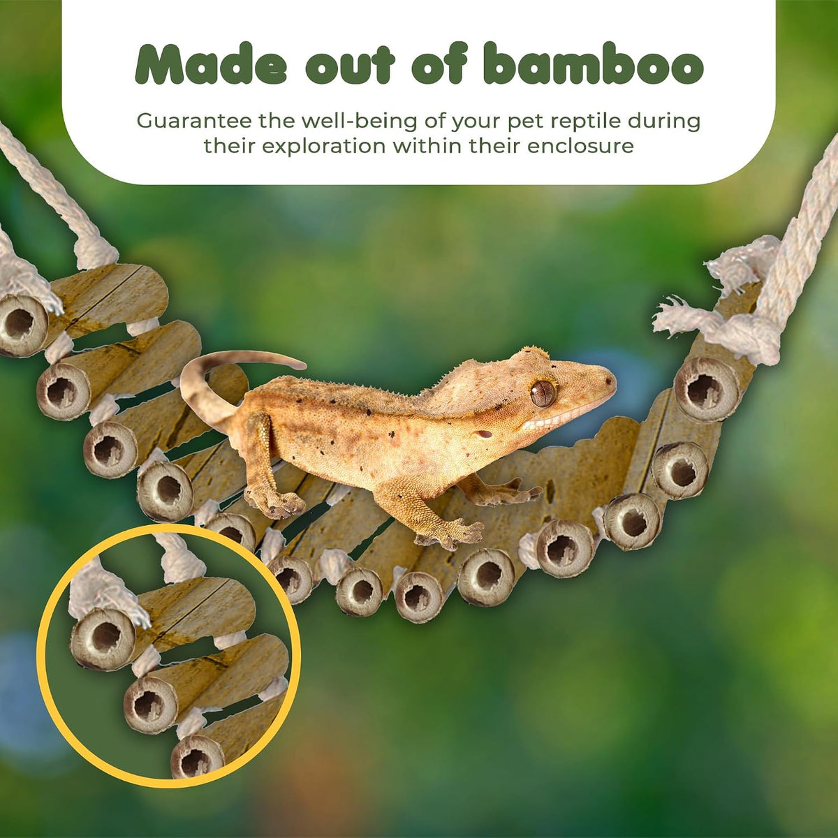 SunGrow Bamboo Gecko Reptile Climbing Bridge and Lizard Lounge - Bamboo - image 3