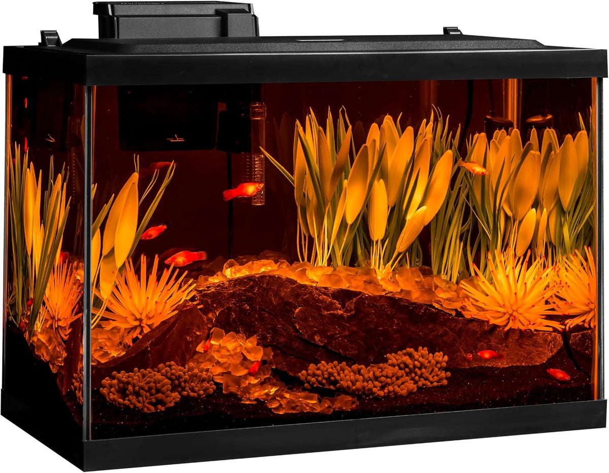 Tetra ColorFusion 20 Gallon Complete Aquarium Kit – Essentials for Fish - image 4