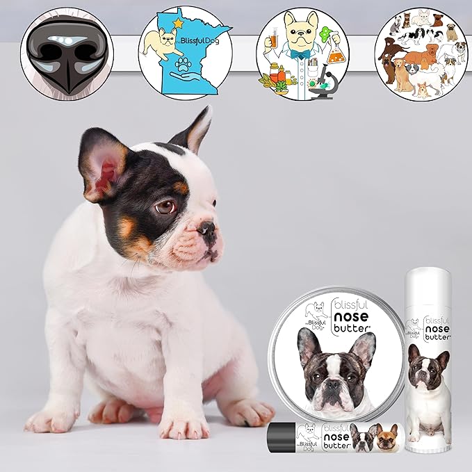 The Blissful Dog Pied French Bulldog Unscented Nose Butter - Dog Nose Butter, 16 Ounce