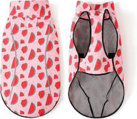 Mile High Life Dog Raincoat - S Chest 22"-25" / Pink Watermelon - image 4