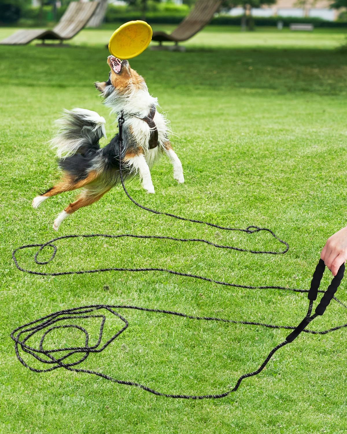 Taglory Long Dog Leash, 15FT 30FT 50FT 66FT, Training and Recall Leash with Comfortable Padded - 15 Foot - with handle / Black - image 2