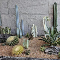 20lbs Aquarium Gravel, 1/16"(0.6-1.2mm) Natural River Rocks Succulent Cactus Pea Gravel for Plants, Fish Tank, Decorative Pebbles for Gardening, Flower Pots, Vase Fillers, Landscaping