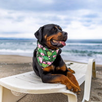 Halloween Dog Bandanas, L - X-Large / Summer - image 3