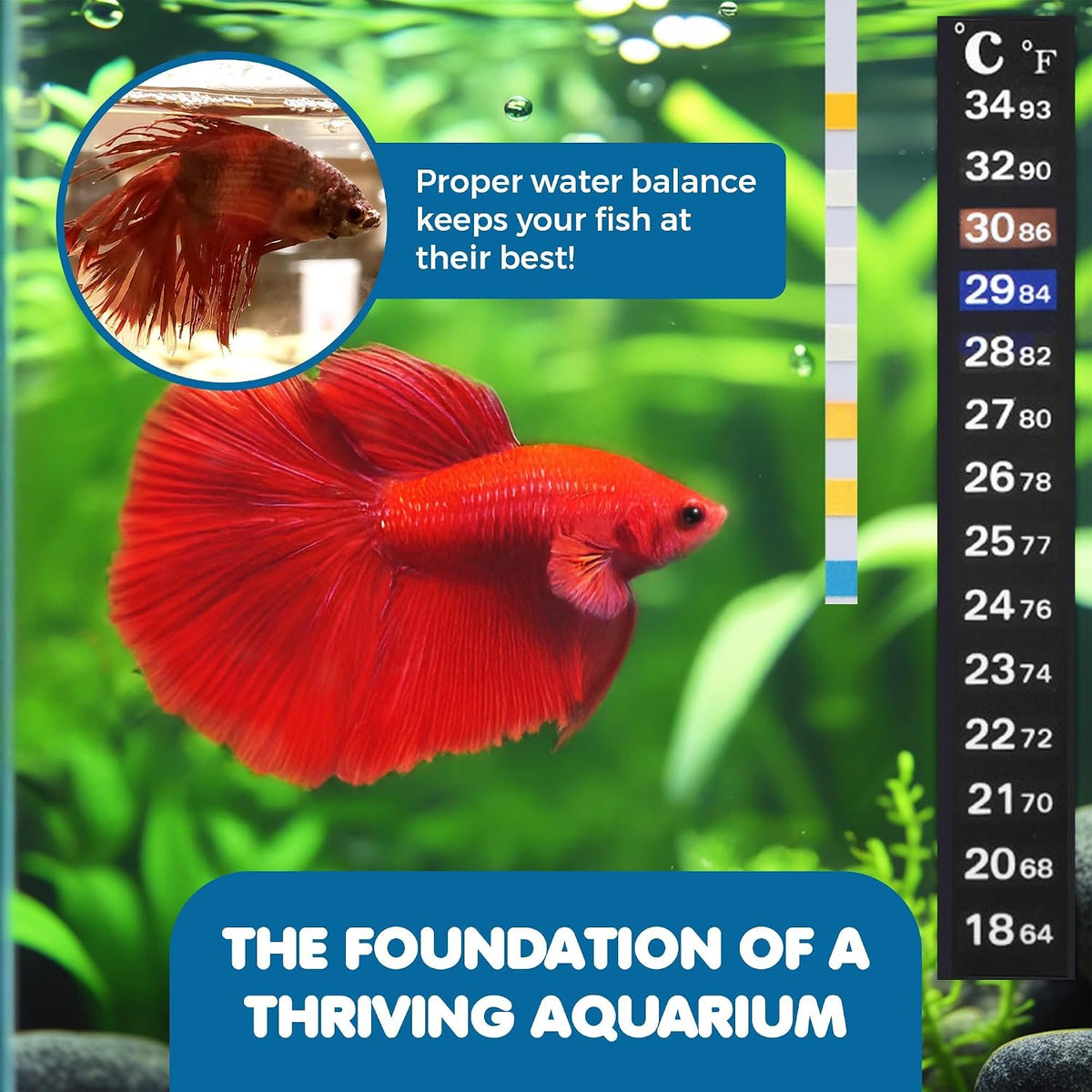 SunGrow Betta Fish Tank Thermometer Stick On - 100 Strips + 3 Thermometers - image 4