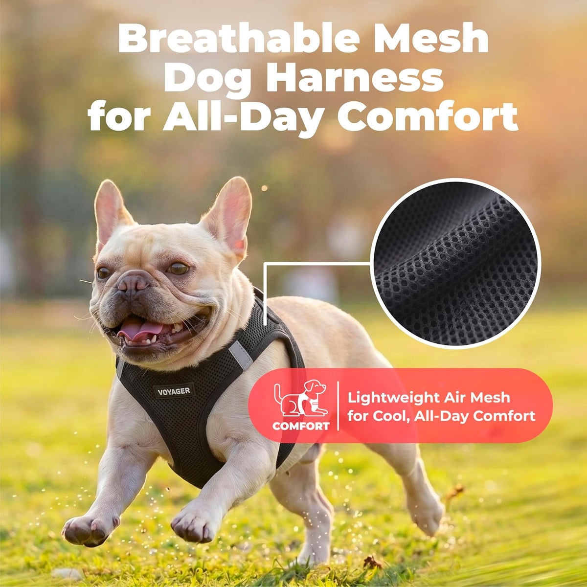 Voyager Step-in Air Dog Vest Harness - Black / XXXS (Chest: 11 - 12") - image 2