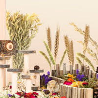 Natural Ear of Grain Flower&Herb Bedding Mate Habitat Decor - Wheat - image 3