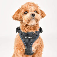 Authentic Puppia RiteFit Harness with Adjustable Neck - Camo / X-Large - image 3