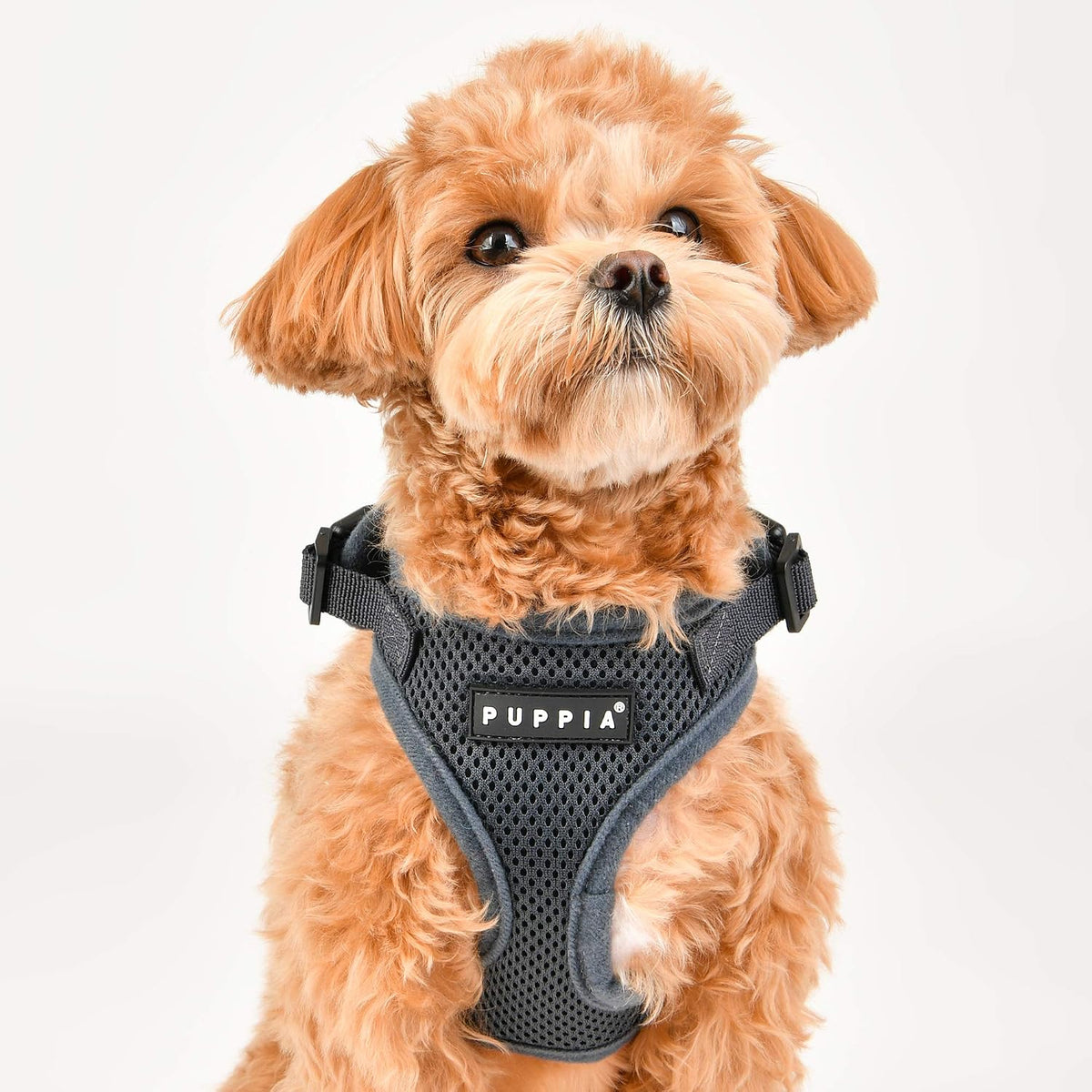Authentic Puppia RiteFit Harness with Adjustable Neck - Camo / X-Large - image 3