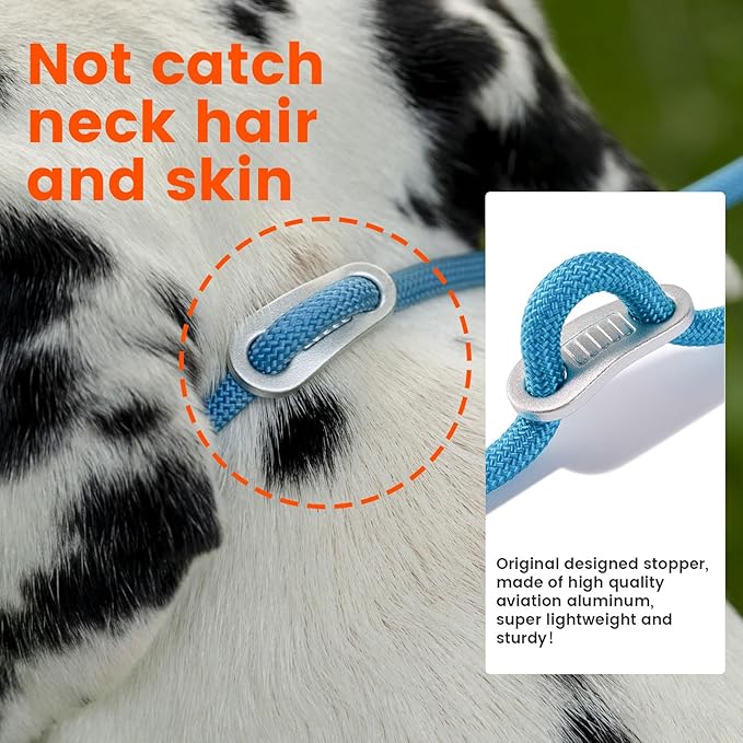 Howgo Double Slip Leash Slip Lead with Two Handles| Dual Dog Slip Lead for 2 Dogs,360° Swivel No Tangle | Dog Training Collar | Double Clip Leash Coupler and Splitter (Multicolor, 6FT)