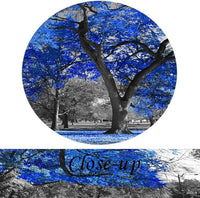 KREATIVE ARTS Canvas Print Wall Art Painting Contemporary Blue Tree In Black And White Style Fall Landscape Picture Modern Giclee Stretched And Framed Artwork (Large Size 60x32inch)