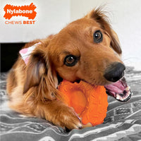 Nylabone Lobster Power Chew Toy for Dogs - Pumpkin 1 Pack / Large - image 3