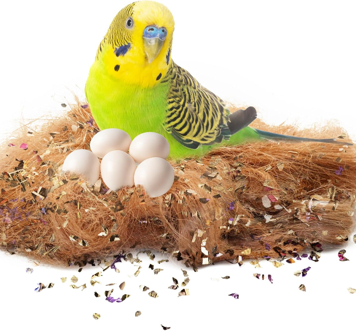 SunGrow Finch Coconut Fiber - Coconut Fiber with Herbs, 5 ounce