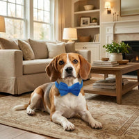 Dog Collar with Bowtie Soft Velvet Material with Quick Release Buckle - S / Royal Blue - image 2