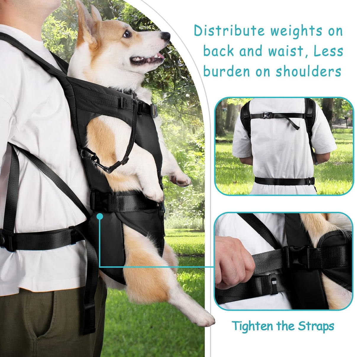 Pet Front Dog Carrier Backpacks, Adjustable Pet Backpack - Black / Large - image 3