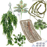 Reptile Plants for Bearded Dragon Tank Accessories - Group Bpn