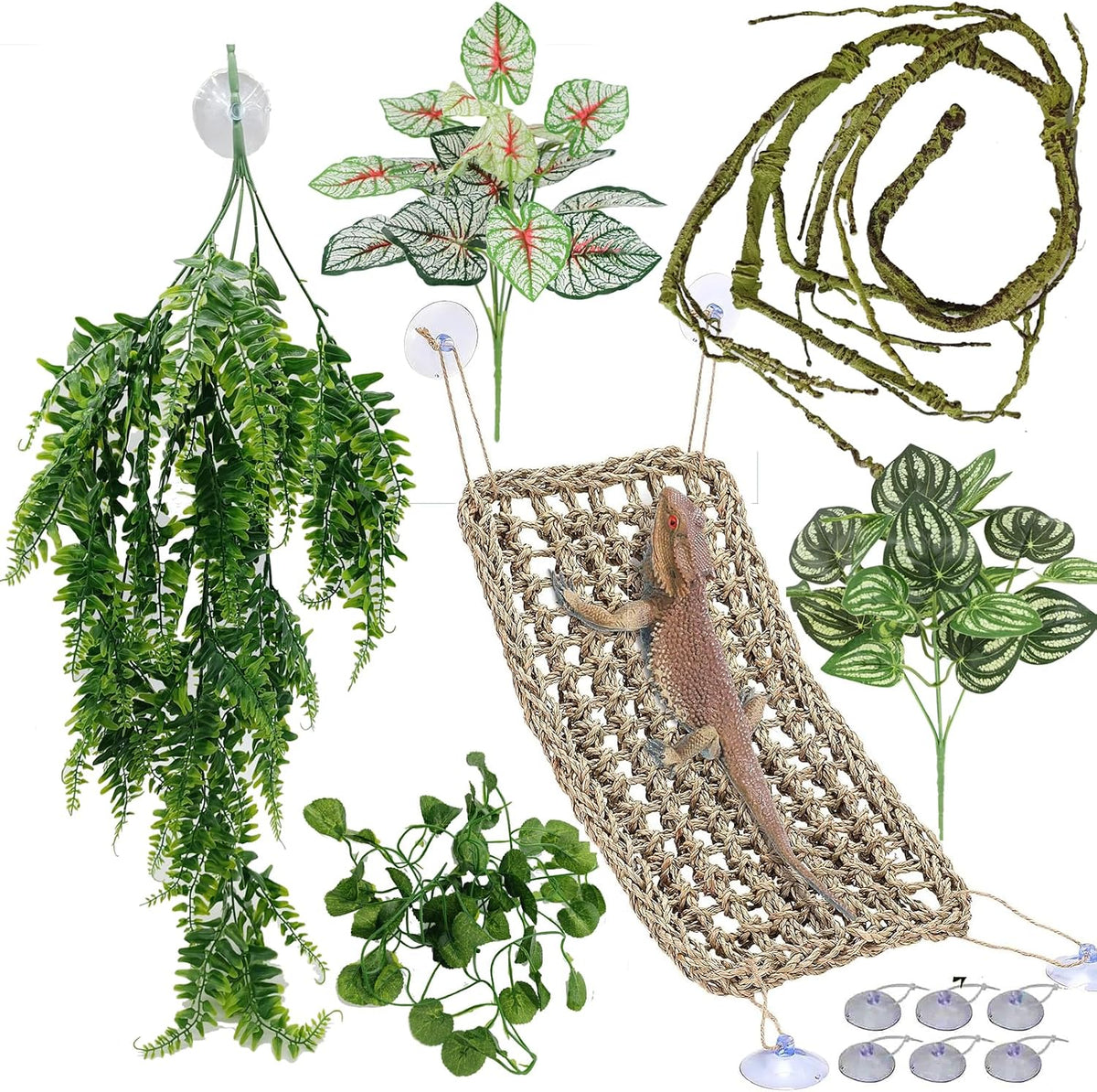 Reptile Plants for Bearded Dragon Tank Accessories - Group Bpn