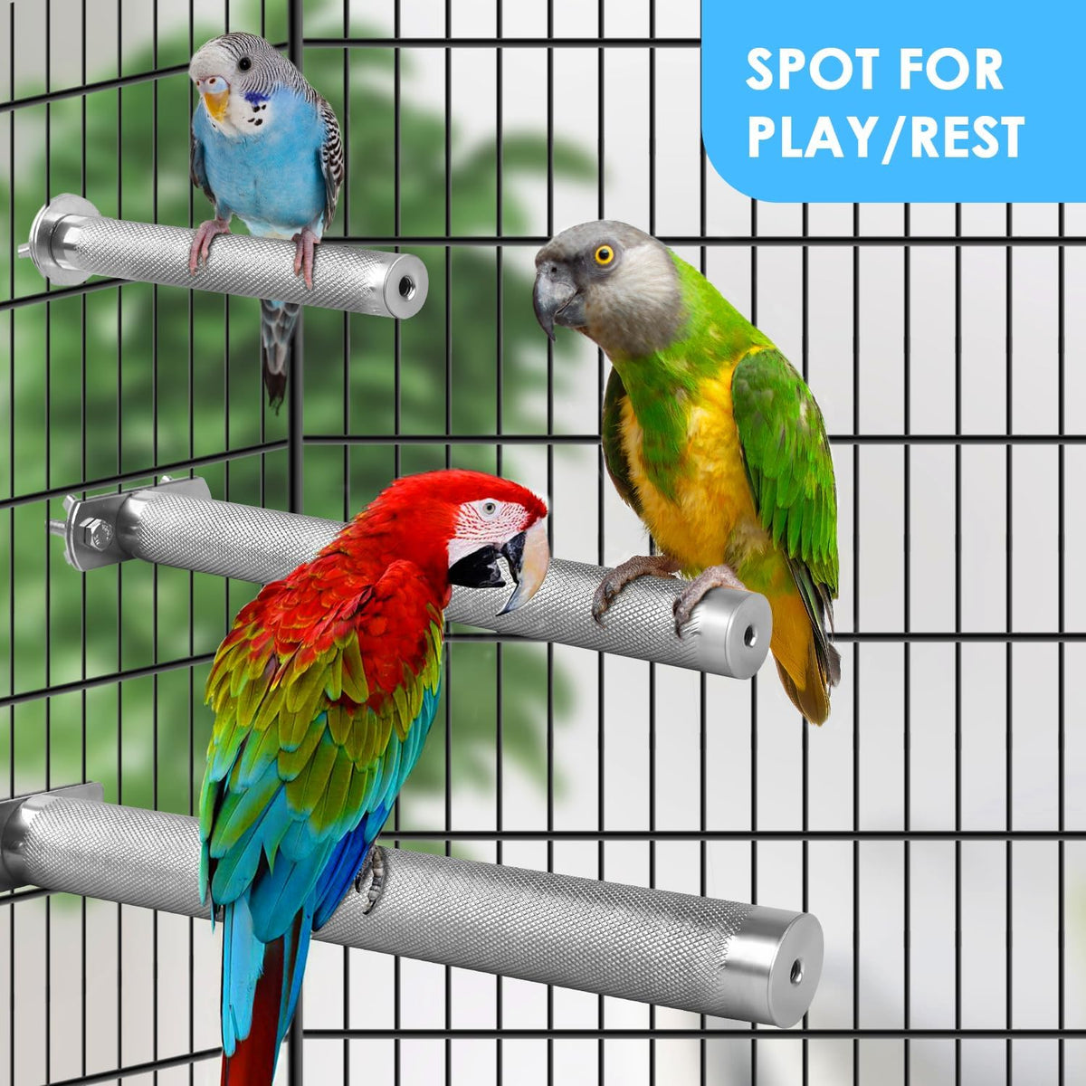 KATUMO Parrot Perch - Stainless Steel African Grey Perch Bird Cage Accessories for Small to Large - L: 11.8 x 1.2 inch - image 4
